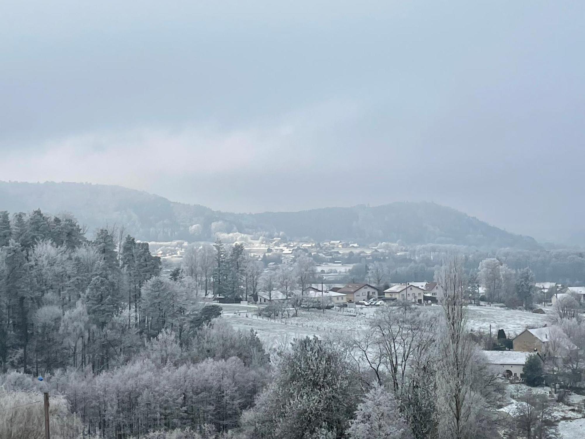 Gite Des Brimbelles La Neuveville-Devant-Lepanges Exteriör bild